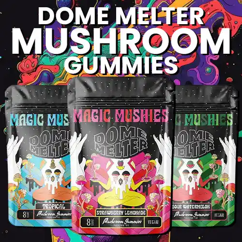 Home 68af16f45b4d7e669acd022f Dome Wrecker Dome Melter Mushroom Gumnmies 1
